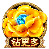 网络null是什么梗